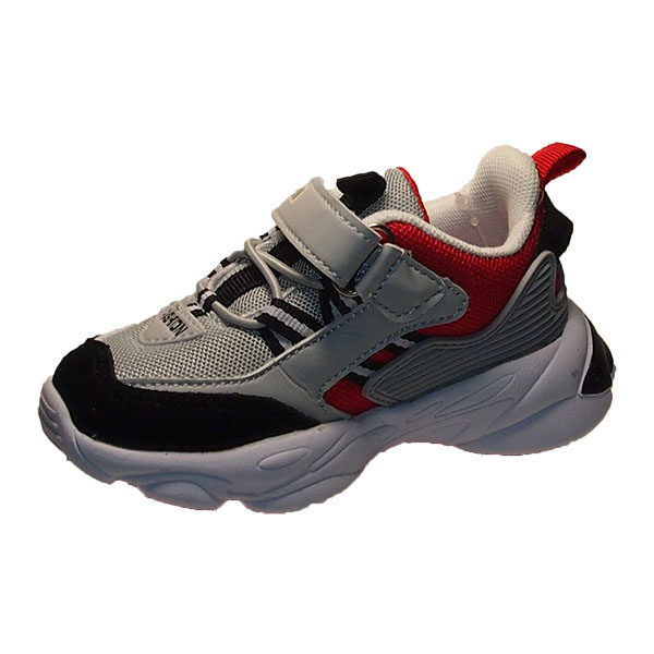 ZDLong 271M (2)
